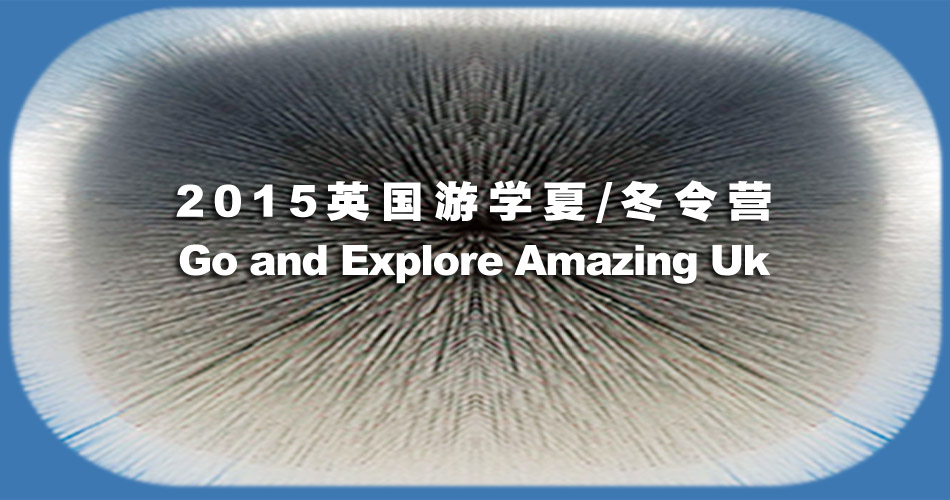 2011������Ӫ